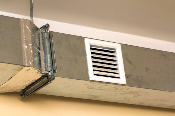 Best Air Duct Mold Removal  in Landover, MD